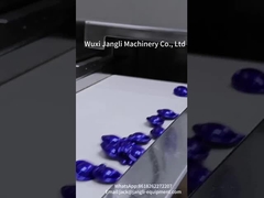 softgel encapsulation  machine